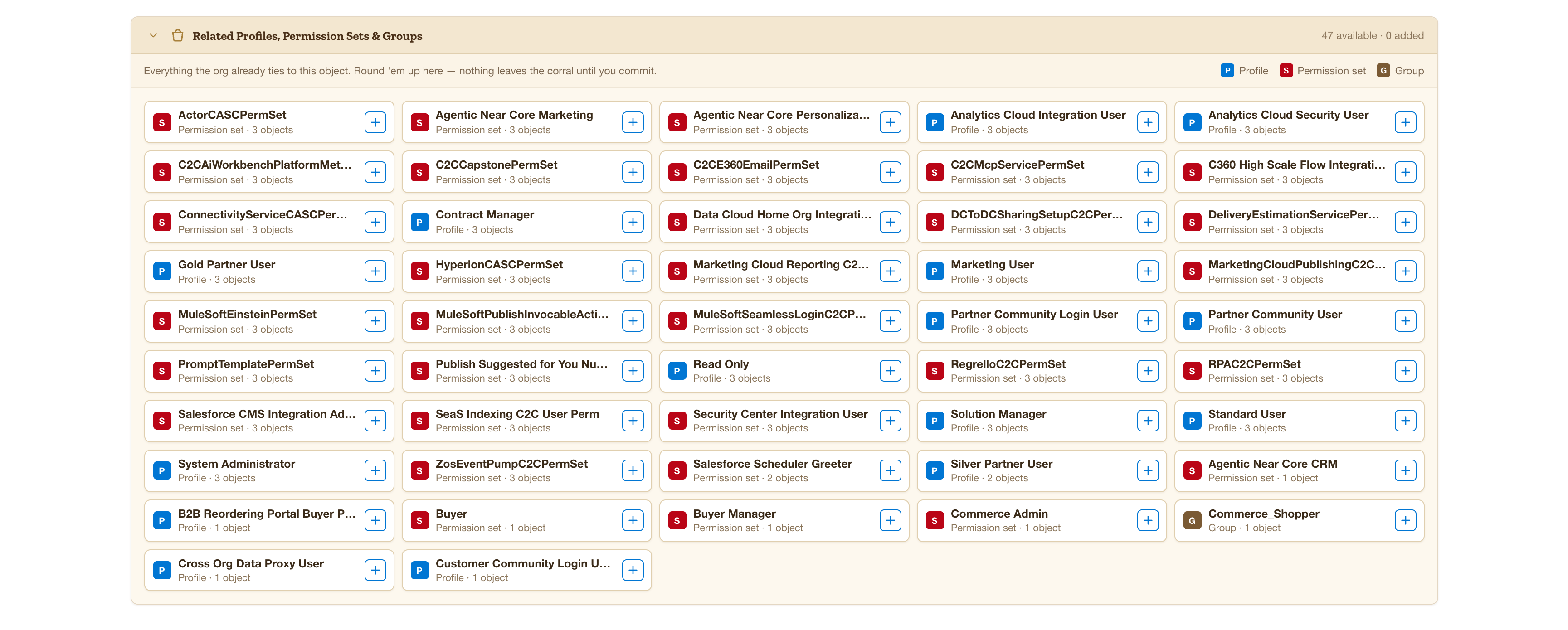 The related access panel listing profiles and permission sets that already grant the target objects.